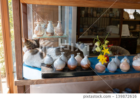 A striped cat curls up and sleeps among small vases in a Hagi ware pottery shop (Hagi City) 139872616