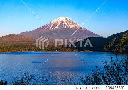 山梨縣美麗的春日景色:本棲湖、略帶紅色的富士山和蔚藍的天空。 山梨縣美麗的春日景色:本棲湖、略帶紅色的富士山和蔚藍的天空。 139872861