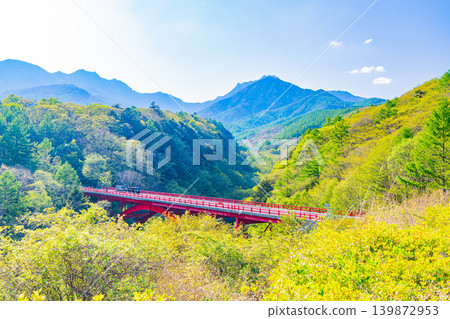 （山梨縣）八嶽山脈綠意盎然，東澤橋 139872953