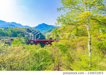 (Yamanashi Prefecture) The Yatsugatake mountain range in fresh greenery, Higashizawa Bridge (Yamanashi Prefecture) The Yatsugatake mountain range in fresh greenery, Higashizawa Bridge 139872955
