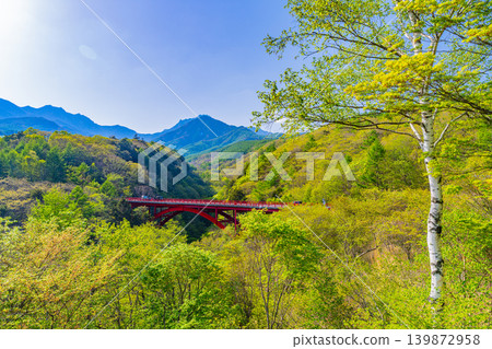 (Yamanashi Prefecture) The Yatsugatake mountain range in fresh greenery, Higashizawa Bridge (Yamanashi Prefecture) The Yatsugatake mountain range in fresh greenery, Higashizawa Bridge 139872958