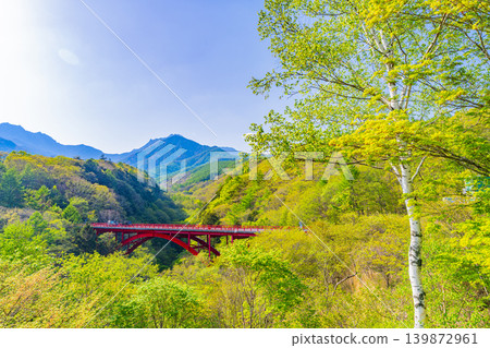 (山梨縣)八嶽山脈綠意盎然,東澤橋 (山梨縣)八嶽山脈綠意盎然,東澤橋 139872961