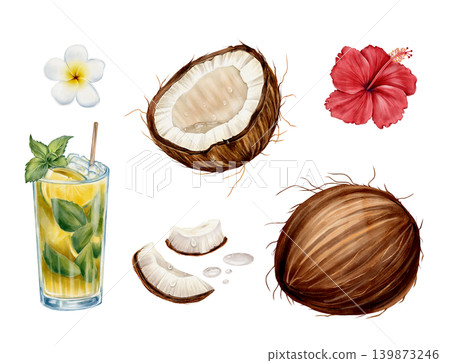 Tropical Summer Set Watercolor Illustration Tropical Summer Set Watercolor Illustration 139873246