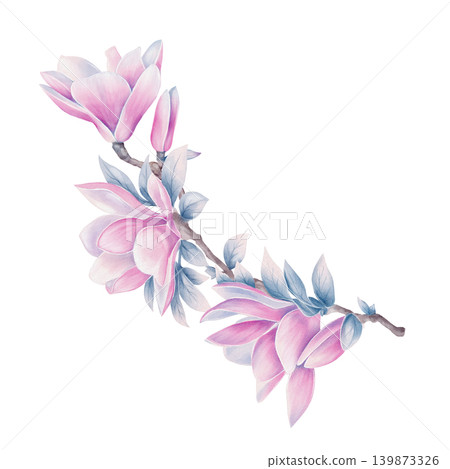 Magnolia Flower Branch Watercolor Illustration Magnolia Flower Branch Watercolor Illustration 139873326