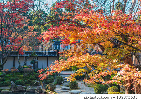 Autumn scenery of the scenic garden at Seimei-ji Temple in Shiga Prefecture Autumn scenery of the scenic garden at Seimei-ji Temple in Shiga Prefecture 139873535