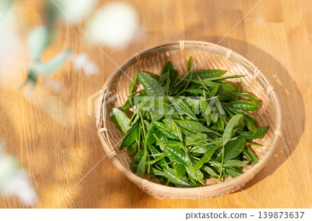 茶葉、芽苗、籃子 茶葉、芽苗、籃子 139873637
