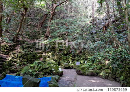 一條狹窄的林間小路蜿蜒在萩市笠山附近的風名池之間。 一條狹窄的林間小路蜿蜒在萩市笠山附近的風名池之間。 139873669