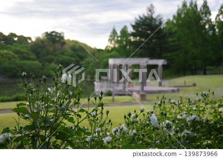 與玫瑰的風景 與玫瑰的風景 139873966