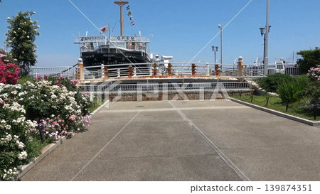 A view of the Hikawa Maru from the future rose garden. A view of the Hikawa Maru from the future rose garden. 139874351