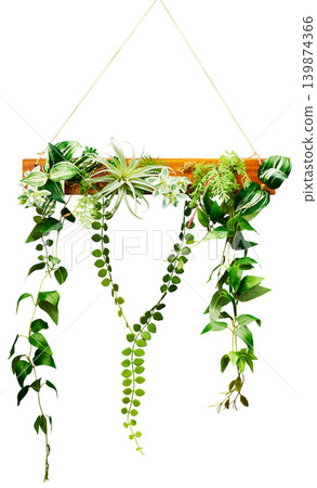 Hanging wall planter with wooden bar and trailing plants, cutout on a white background. 139874366