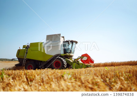 Industrial combine harvester machine reaping gather ripe wheat cereal field meadow on summer day. Industrial combine harvester machine reaping gather ripe wheat cereal field meadow on summer day. 139874838
