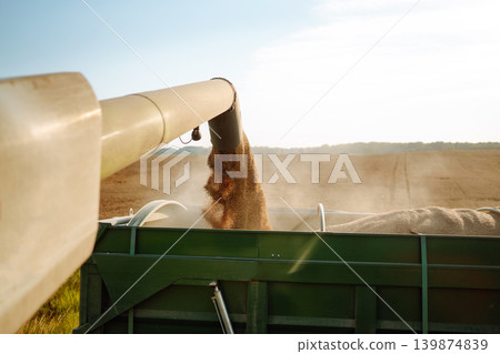 Industrial combine harvester machine reaping gather ripe wheat cereal field meadow on summer day. Industrial combine harvester machine reaping gather ripe wheat cereal field meadow on summer day. 139874839
