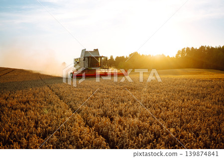 Industrial combine harvester machine reaping gather ripe wheat cereal field meadow on summer day. Industrial combine harvester machine reaping gather ripe wheat cereal field meadow on summer day. 139874841