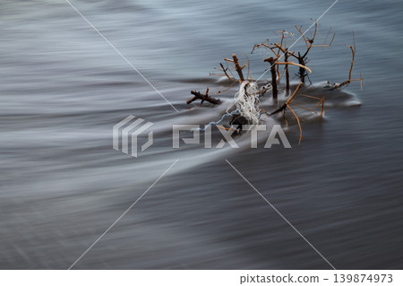 Sea water flowing through twigs and plastic string Sea water flowing through twigs and plastic string 139874973