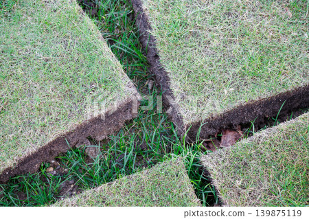 Squares of green slabs of lawn grass turf Squares of green slabs of lawn grass turf 139875119