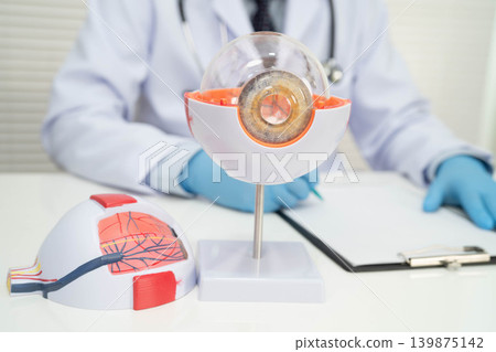 Asian doctor with eye human anatomy model for study diagnosis and treatment in hospital. Asian doctor with eye human anatomy model for study diagnosis and treatment in hospital. 139875142