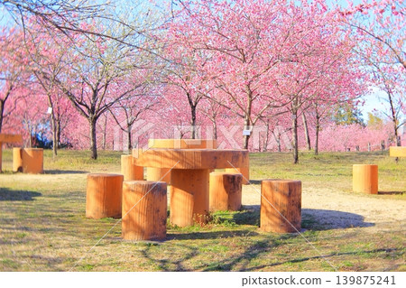 茨城縣古河市桃花節 茨城縣古河市桃花節 139875241