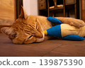 A tabby cat sleeping while hugging a stuffed animal. 139875390