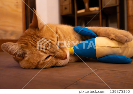A tabby cat sleeping while hugging a stuffed animal. A tabby cat sleeping while hugging a stuffed animal. 139875390