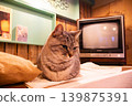 A cat relaxing in front of a retro television. 139875391