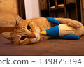 A tabby cat snuggling up to a stuffed animal 139875394