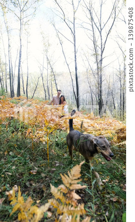 A married couple relaxes in nature during a walk with their beloved dog in an autumn forest. The loving woman and man sit in the tall yellow grass, in the fern leaves, with the dog next to them. A married couple relaxes in nature during a walk with their beloved dog in an autumn forest. The loving woman and man sit in the tall yellow grass, in the fern leaves, with the dog next to them. 139875408