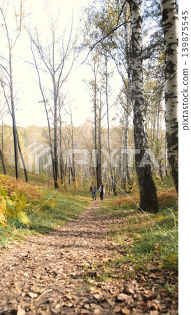 A young man and a girl in love are walking in an autumn park on a sunny autumn day. A young man and a girl in love are walking in an autumn park on a sunny autumn day. 139875545