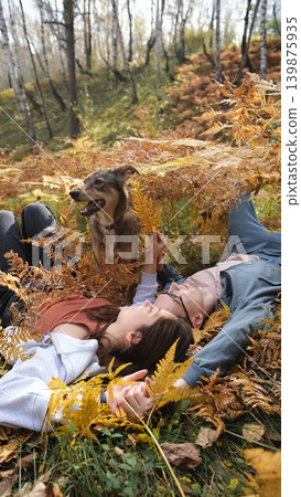 A married couple relax in nature during a walk with a beloved dog in the autumn forest. Loving woman and man lie in tall yellow grass, in fern leaves, a dog next to them. A married couple relax in nature during a walk with a beloved dog in the autumn forest. Loving woman and man lie in tall yellow grass, in fern leaves, a dog next to them. 139875935