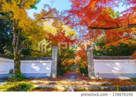 A tunnel of autumn-colored maple leaves at Jojuji Temple A tunnel of autumn-colored maple leaves at Jojuji Temple 139876198