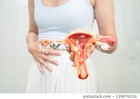 Uterus, Asian woman holding human anatomy model. Uterus, Asian woman holding human anatomy model. 139876338