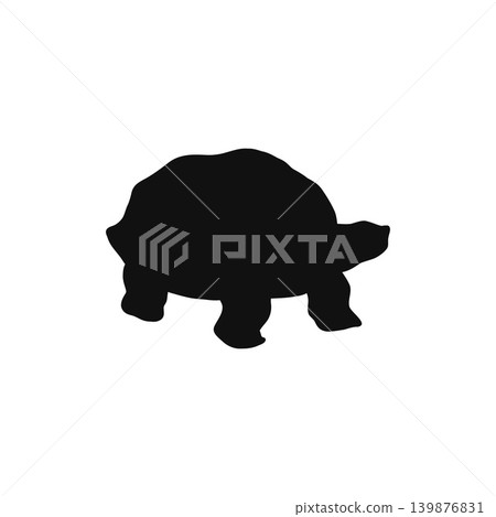 烏龜剪影插圖，單色，白色背景，爬行動物，動物材料 139876831