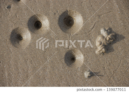 Lugworm holes and cast on surface of sand at low tide Lugworm holes and cast on surface of sand at low tide 139877011