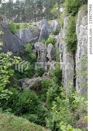 Dramatic Rock Formations and Lush Greenery in a Woodland Landscape on a Bright Day Dramatic Rock Formations and Lush Greenery in a Woodland Landscape on a Bright Day 139877040