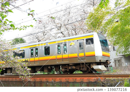 Nikaryo Canal Shukugawara Bank Cherry Blossom Trees and Nambu Line Nikaryo Canal Shukugawara Bank Cherry Blossom Trees and Nambu Line 139877216