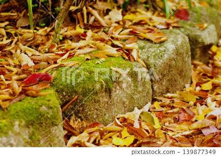 Moss-covered stones buried in fallen leaves – Autumn path to the shrine 139877349
