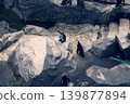 Penguins standing on the rocks 139877894