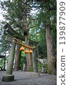 A mysterious torii gate deep in the forest 139877909