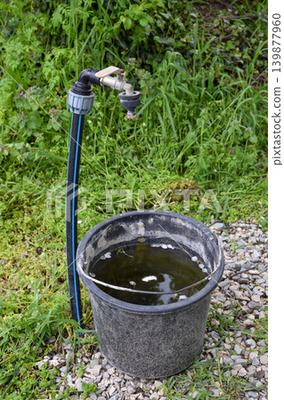 A black plastic bucket filled with water sits next to a garden faucet. Green grass surrounds the area, indicating an outdoor setting. A black plastic bucket filled with water sits next to a garden faucet. Green grass surrounds the area, indicating an outdoor setting. 139877960