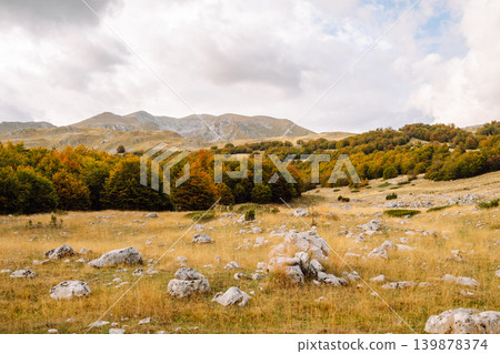Picturesque mountain landscape with thick clouds above. Golden colors in mountain forest. Hiking. 139878374