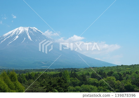 富士山和青木原森林 富士山和青木原森林 139878396