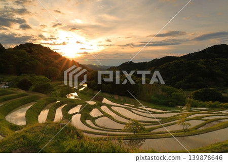 Oyama Senmaida and Morning Sky Oyama Senmaida and Morning Sky 139878646