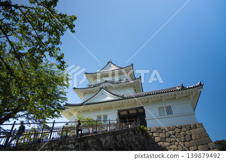 Odawara Castle grounds and keep Odawara Castle grounds and keep 139879492