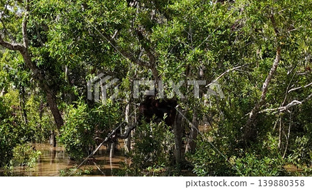 a muddy brown river winding through dense tropical rainforest under a partly cloudy blue sky, a muddy brown river winding through dense tropical rainforest under a partly cloudy blue sky, 139880358