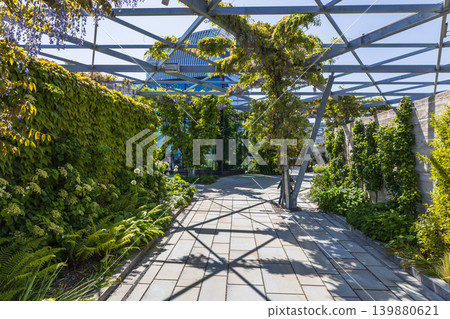 Modern rooftop garden with green pergola and stone path Modern rooftop garden with green pergola and stone path 139880621