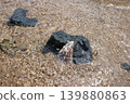 Seashells and stones washed ashore on the beach 139880863