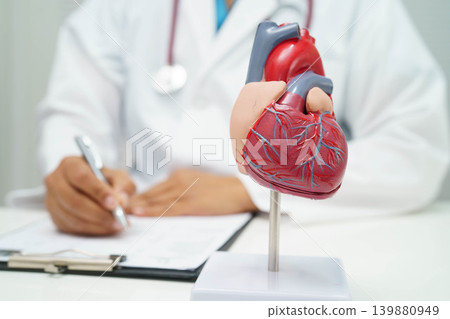 Cardiovascular disease CVD, doctor with heart human model anatomy for treatment patient in hospital. 139880949