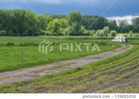Country Road Through Lush Green Farmland with Hay Bales Under a Dynamic Summer Sky Country Road Through Lush Green Farmland with Hay Bales Under a Dynamic Summer Sky 139881058