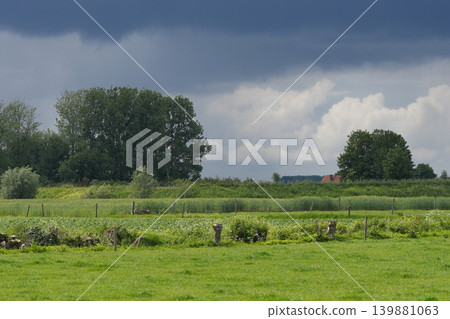 Vibrant Green Farmland Landscape Under a Dramatic Dark Sky with Distant Trees and Rural Fields 139881063