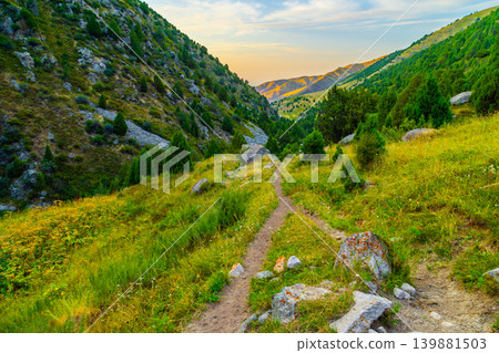 Winding Hiking Trail Through Lush Mountain Valley at Golden Hour in Kyrgyzstan 139881503