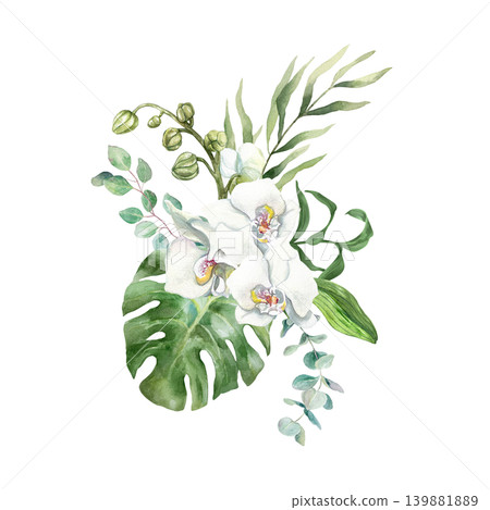 White orchid. Bouquet of tropical flowers with green monstera, palm and eucalyptus leaves. Hand drawn watercolor illustration, isolated. For card designs, wedding invitations and cosmetic packaging. White orchid. Bouquet of tropical flowers with green monstera, palm and eucalyptus leaves. Hand drawn watercolor illustration, isolated. For card designs, wedding invitations and cosmetic packaging. 139881889